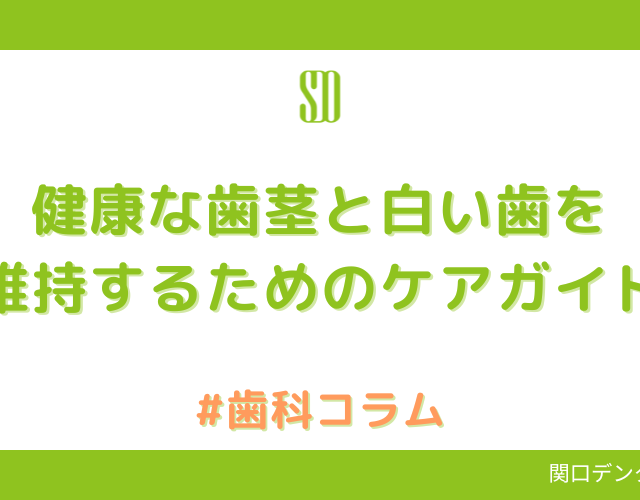 健康な歯茎と白い歯を維持するためのケアガイド