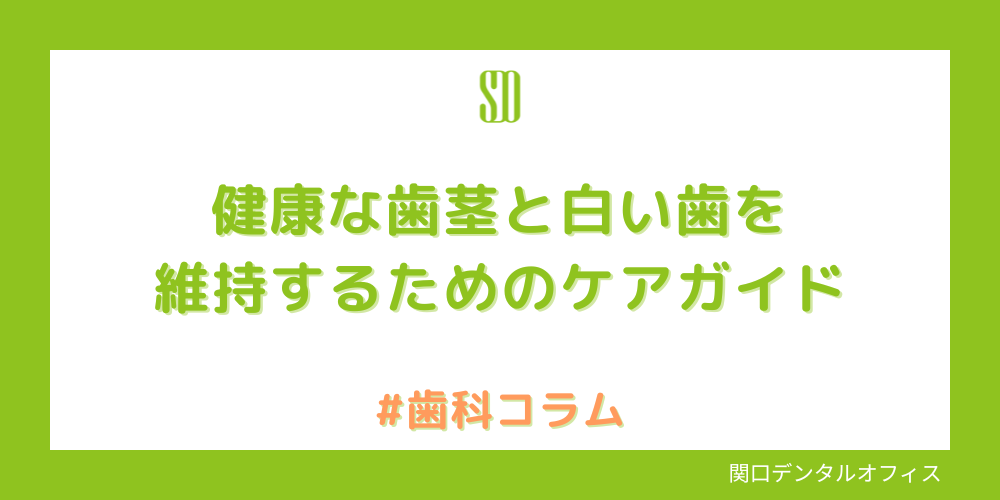 健康な歯茎と白い歯を維持するためのケアガイド