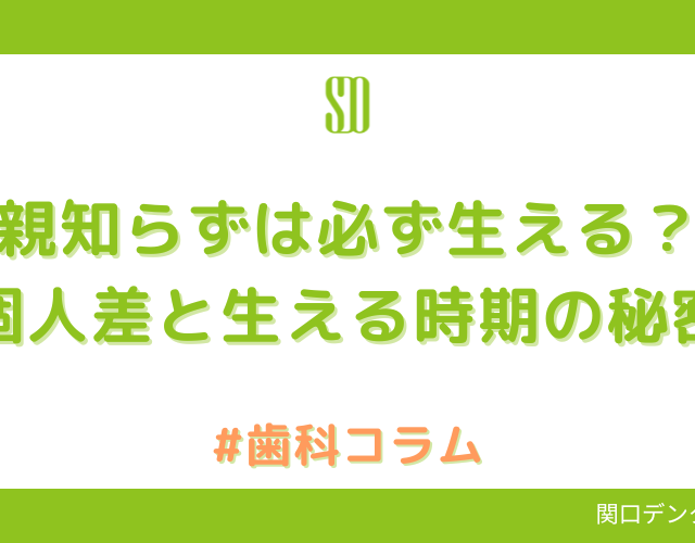 親知らずは必ず生える？個人差と生える時期の秘密｜関口デンタルオフィス埼玉