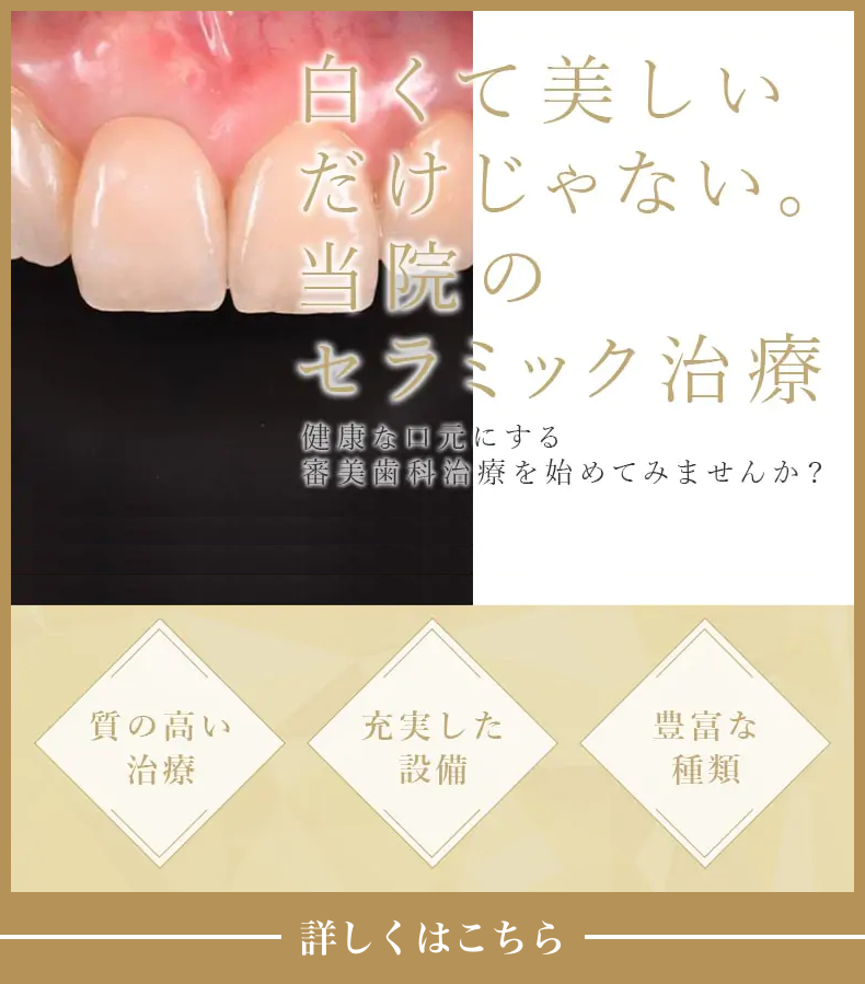 [埼玉県さいたま市の]再治療0%を追求した 審美セラミック治療ガイド 監修：関口デンタルオフィス埼玉